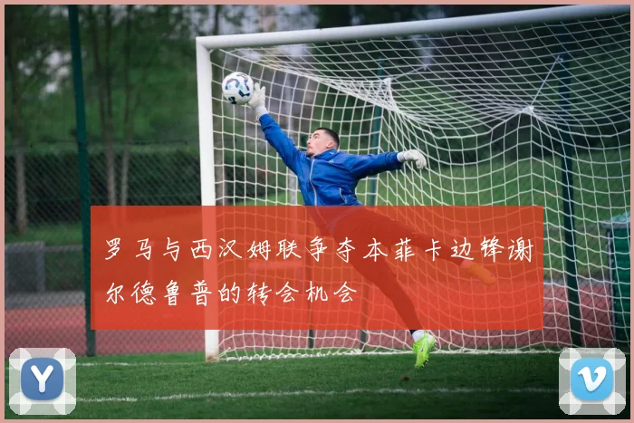 罗马与西汉姆联争夺本菲卡边锋谢尔德鲁普的转会机会
