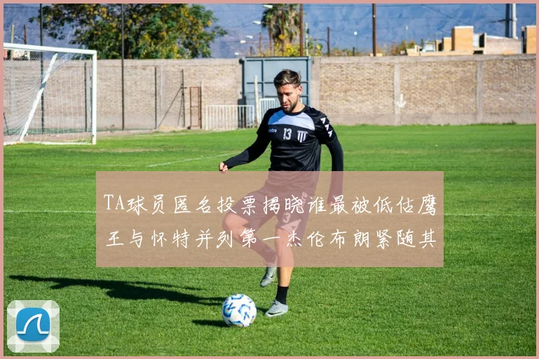 TA球员匿名投票揭晓谁最被低估鹰王与怀特并列第一杰伦布朗紧随其后