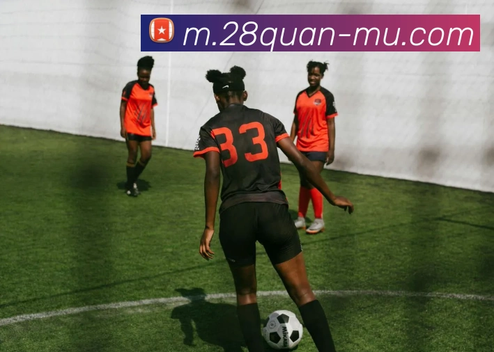 互动解说服务